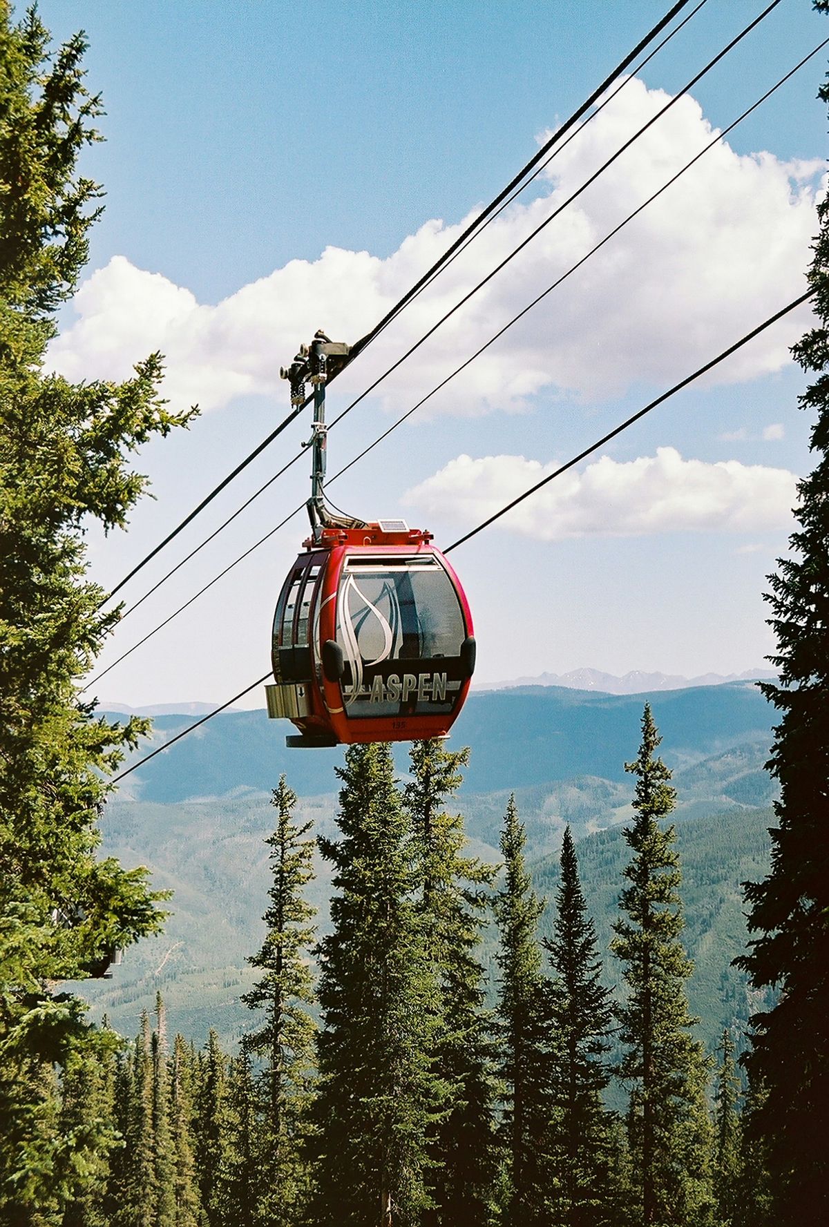 Photo by Prescott Horn on Unsplash
