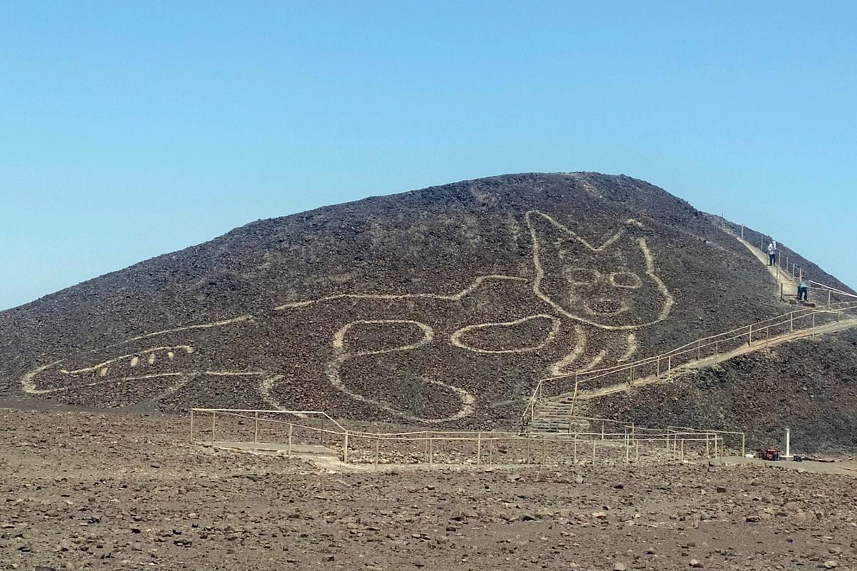 A photo released by the Peruvian government shows the figure of a feline on a hillside in Nazca, Peru, this month Photo: Johny Islas/Peru's Ministry of Culture-Nasca-Palpa