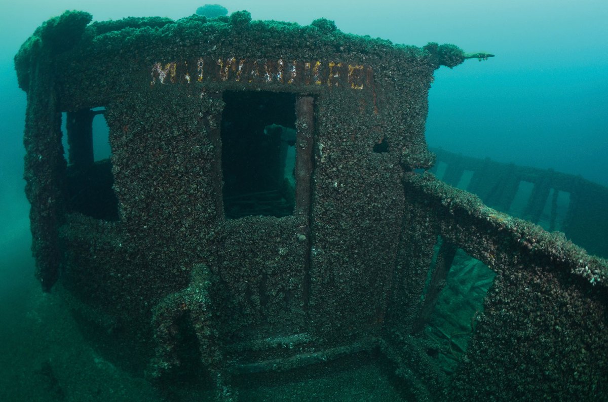 The Milwaukee, which sank in 1929 while transporting rail cars full of Kohler bathtubs, now blanketed in mussels
Wisconsin Historical Society