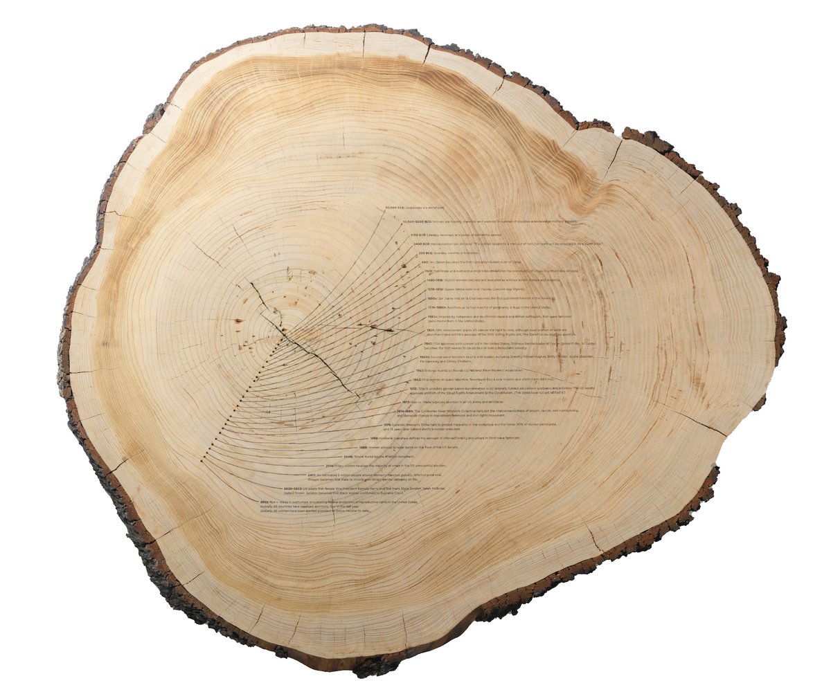 Tiffany Shlain’s sculpture Dendrofemonology (2022) will be installed on the National Mall in Washington, DC, from 1-4 November Courtesy the artist