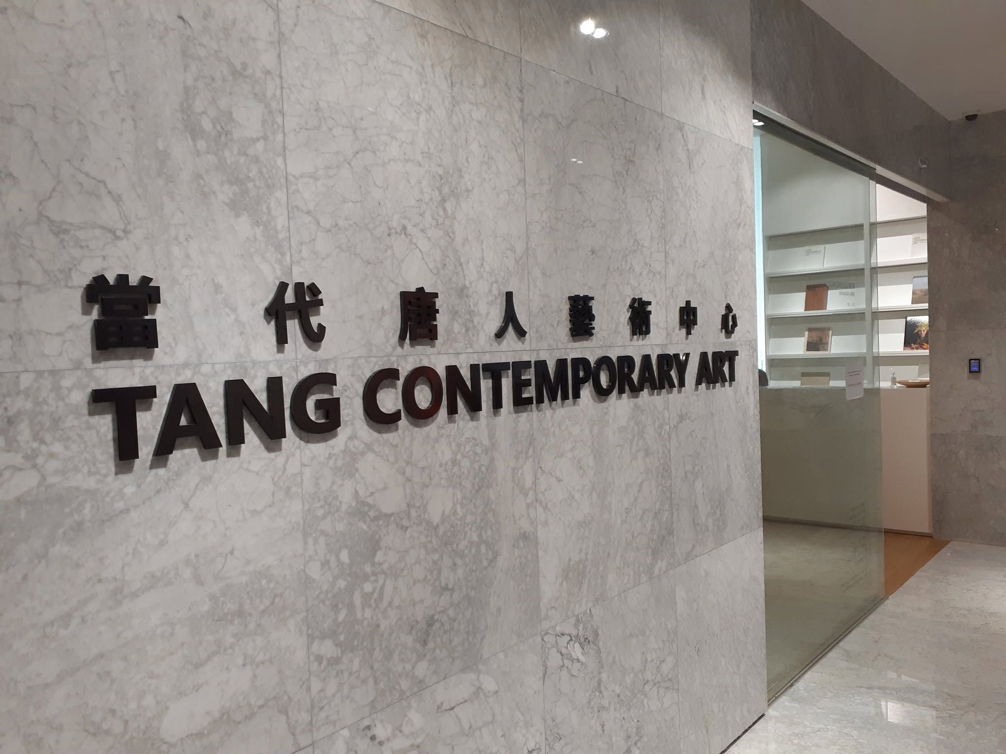 The director of Tang Contemporary has said the gallery is facing major operational challenges Wikimedia Commons