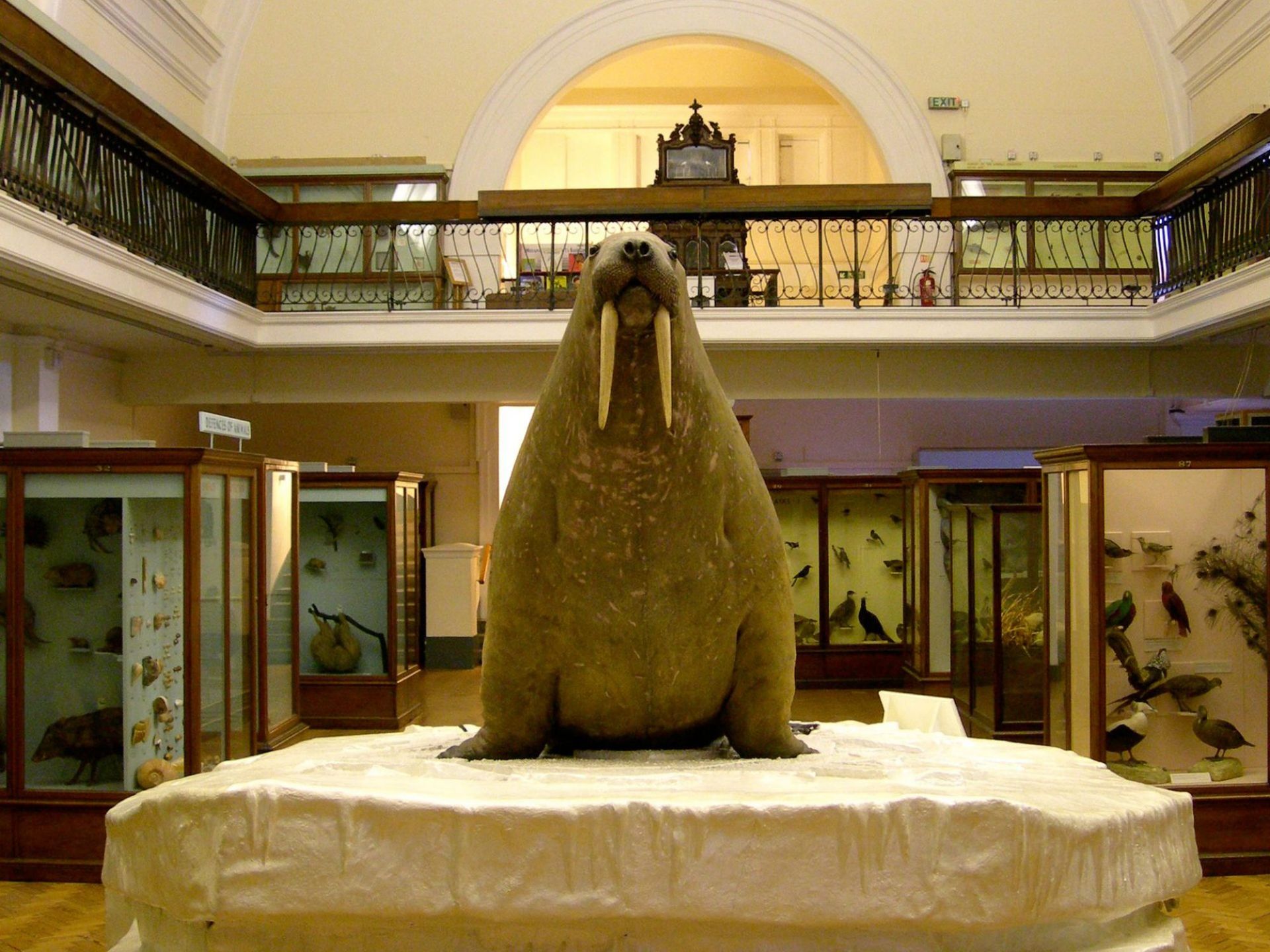 El Museo y Jardines de Horniman en Londres Cortesía del Museo y Jardines de Horniman