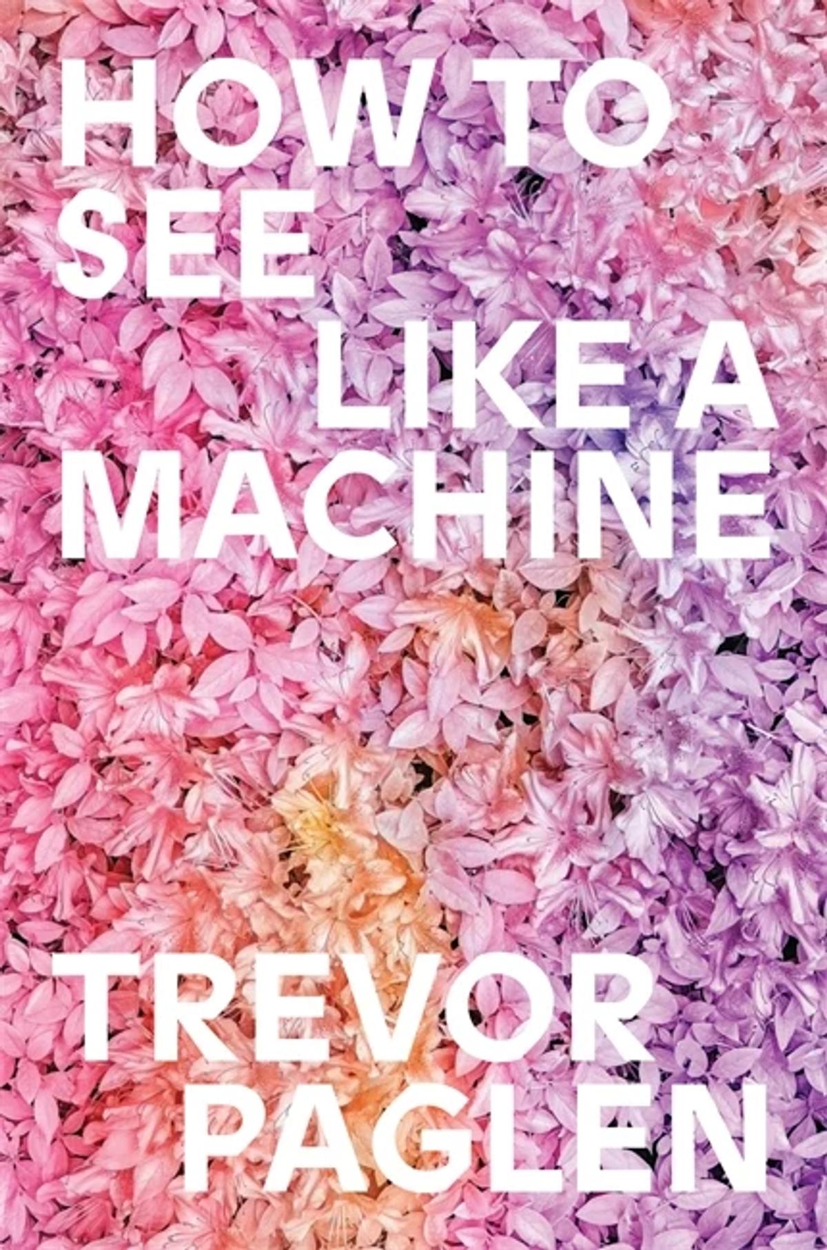 In How to See Like a Machine Paglen suggest that the advent of this new tech-animated image culture is more consequential than the discovery of perspective or photography

Courtesy of Verso Books

