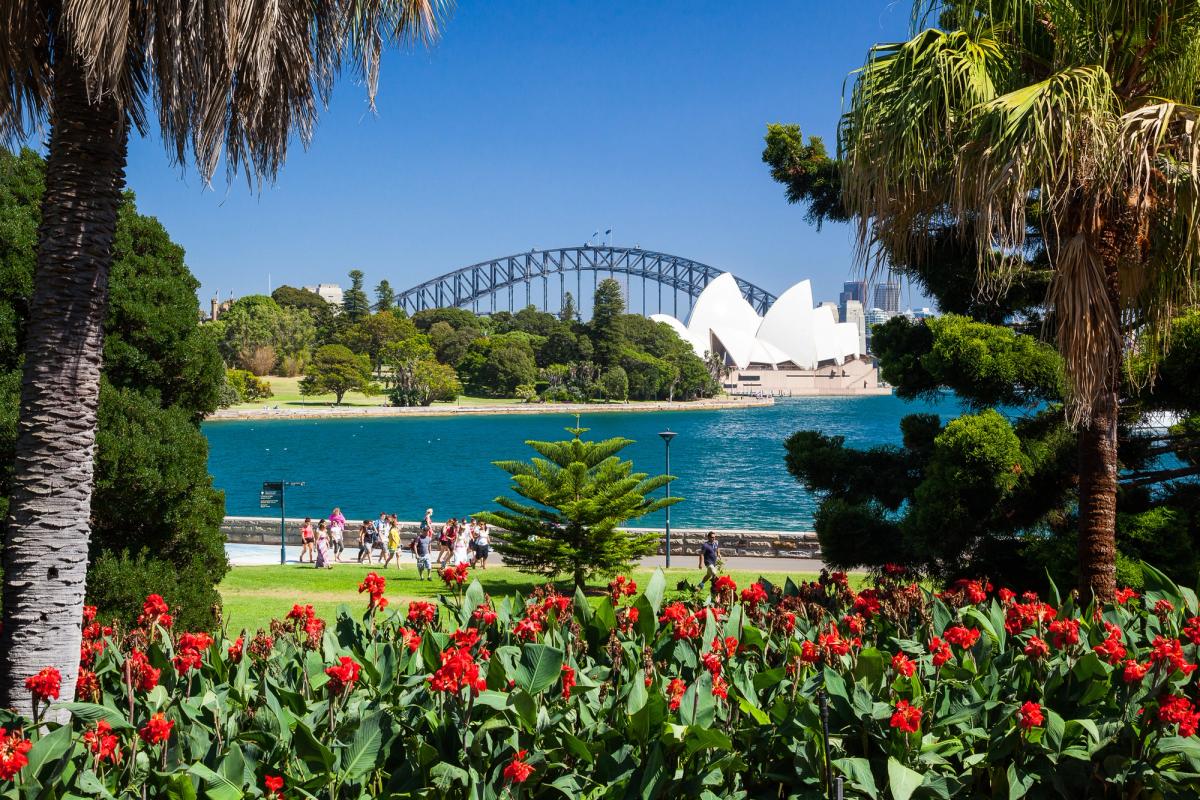 The view of Sydney Harbour from the Royal Botanic Garden Photo: Royal Botanic Garden, Sydney