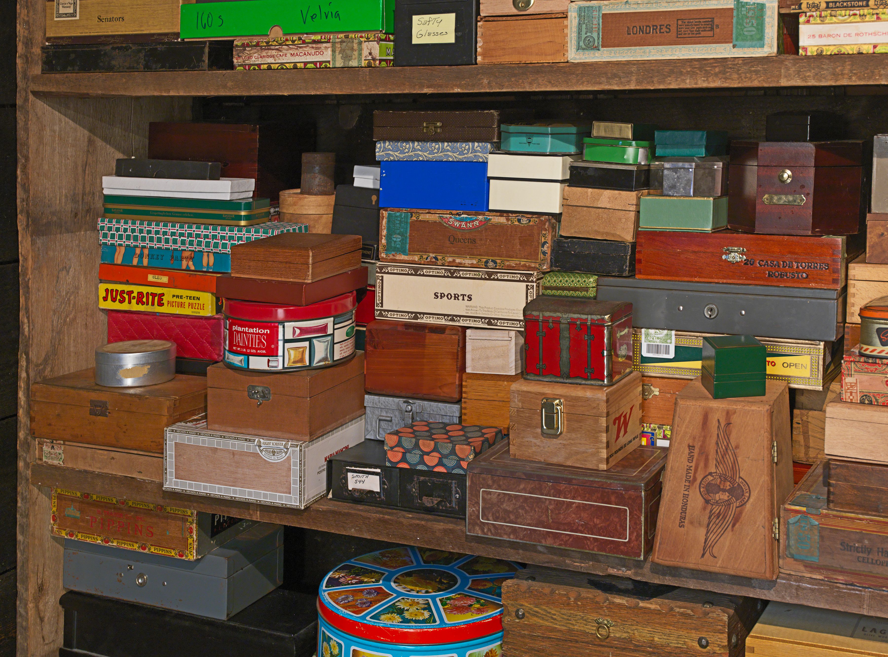 Inside the installation Memory Box by Mark Dion (2016) Courtesy the artist and Tanya Bonakdar Gallery, New York / Los Angeles