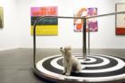 Frieze New York's animal art gives fairgoers paws for thought