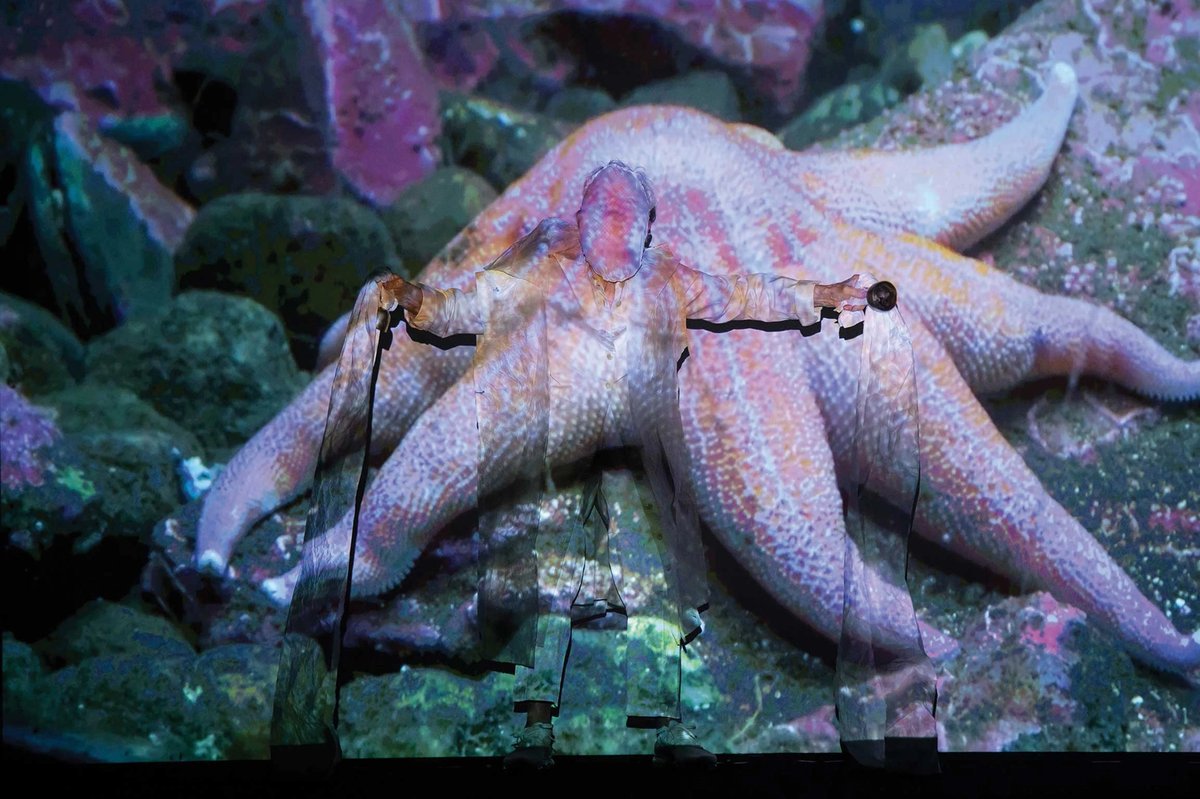 The exhibition at the Museum of Modern Art in New York includes the video installation Moving Off the Land (2018), Joan Jonas's exploration of endangered sea life in which the artist incorporates herself into the screen Photo: Ian Douglas