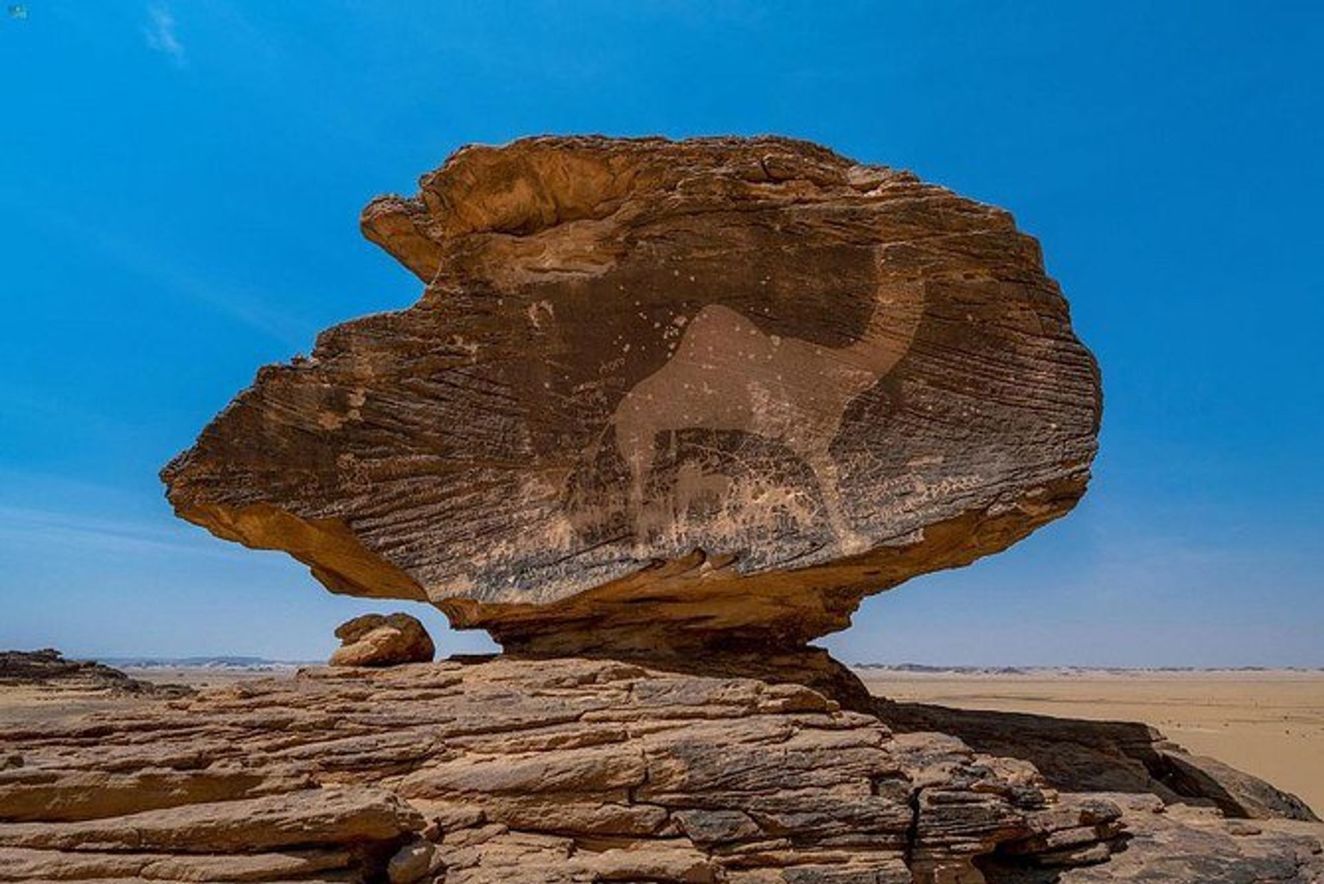 A petroglyph of a camel in Hima Photo: Flickr