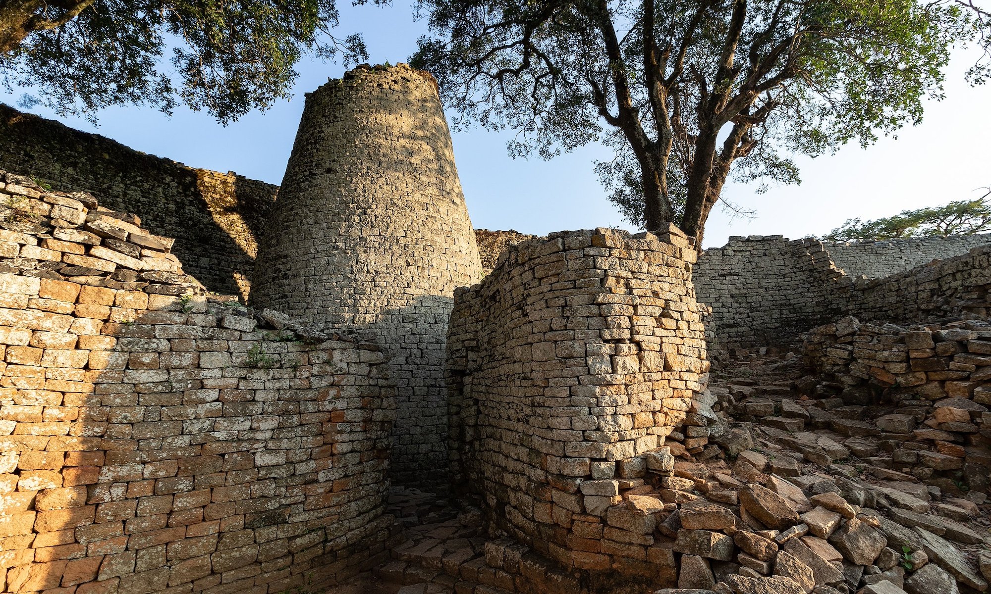 New encyclopaedia makes Africa's distant past relevant to today and tomorrow - Vimarsana News