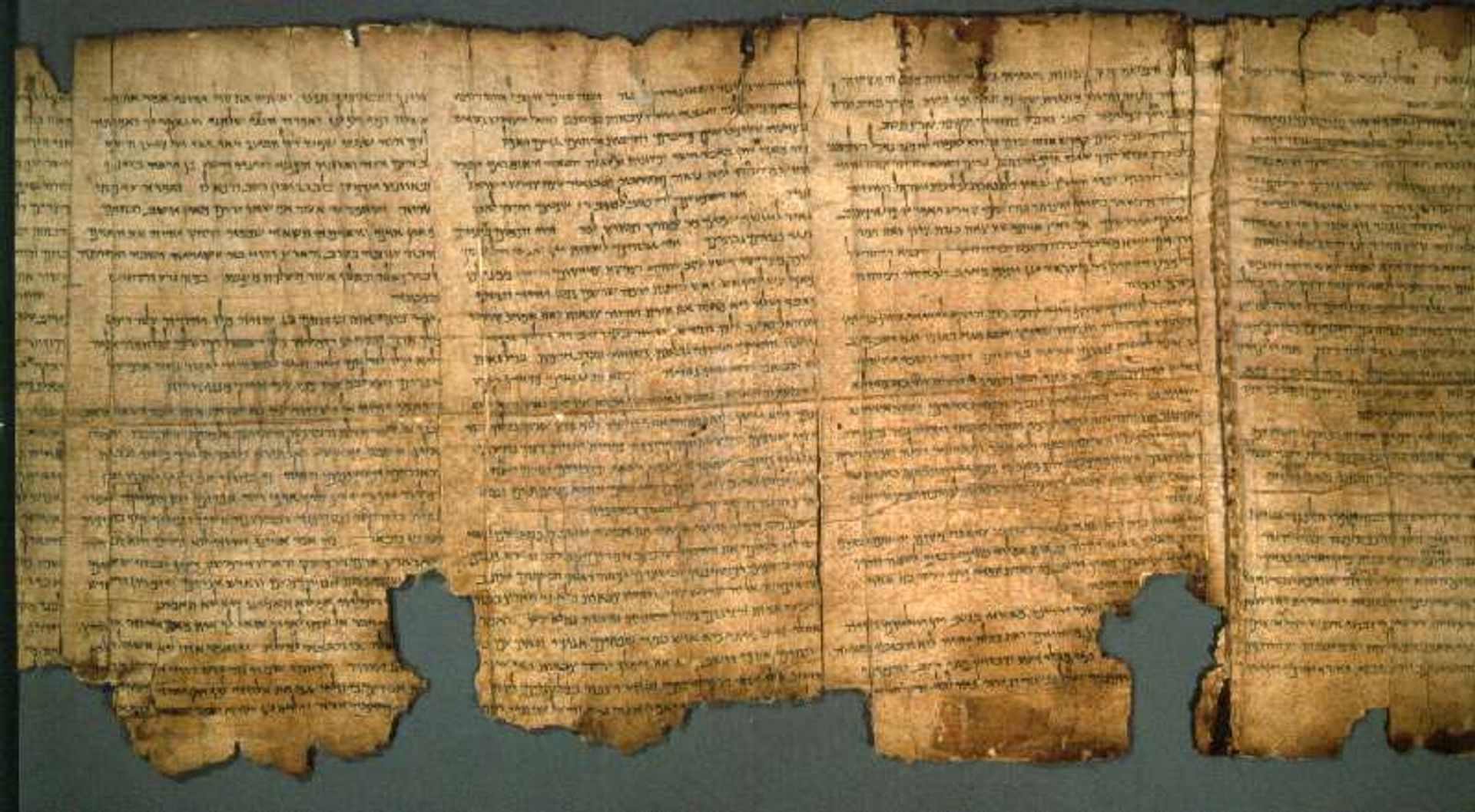 The Great Isaiah Scroll, now housed in the Israel Museum Photo © Israel Museum, Jerusalem, by David Harris