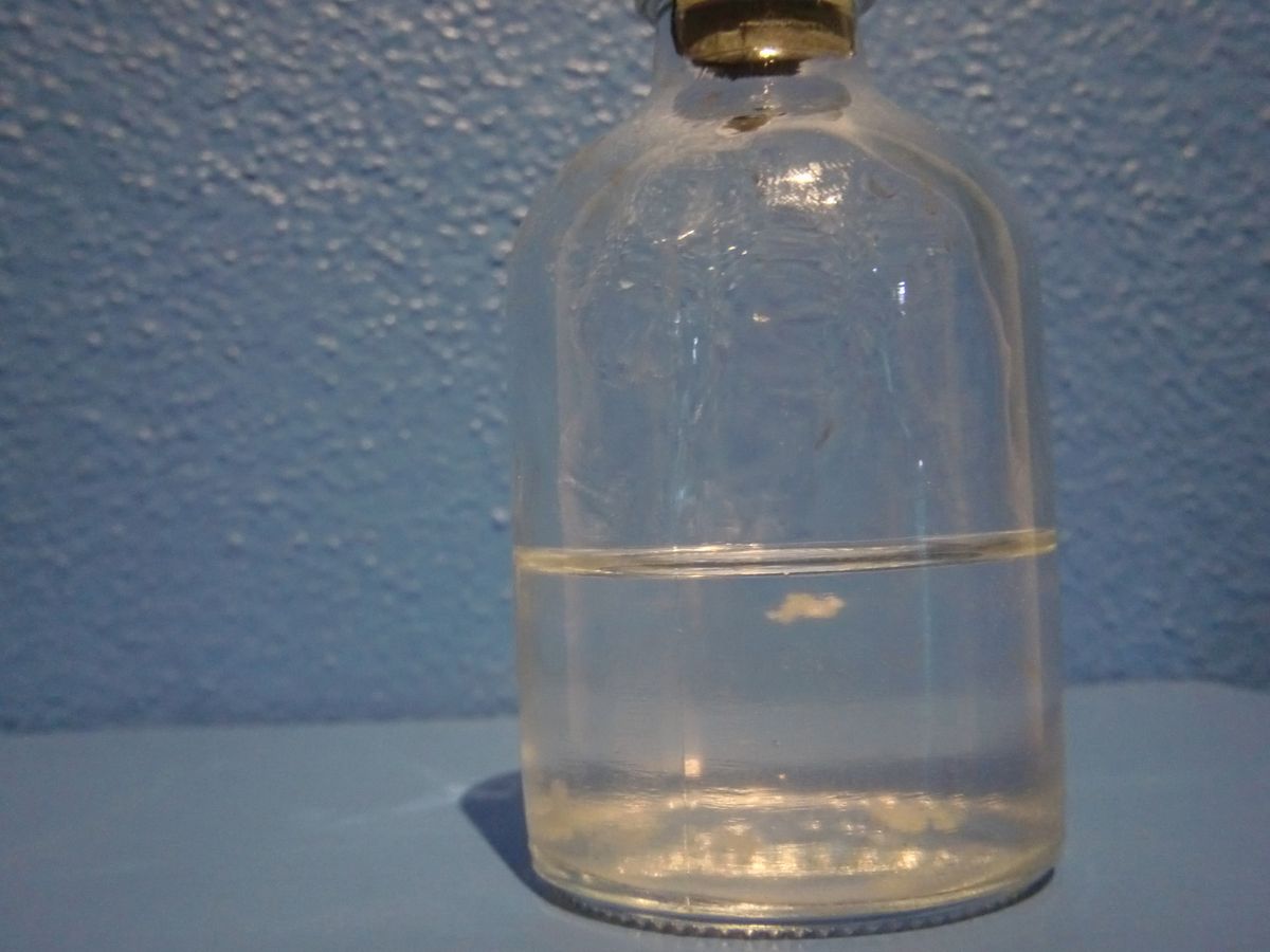 Fluorescent rabbits, slime mould and bacteria: artists get biological