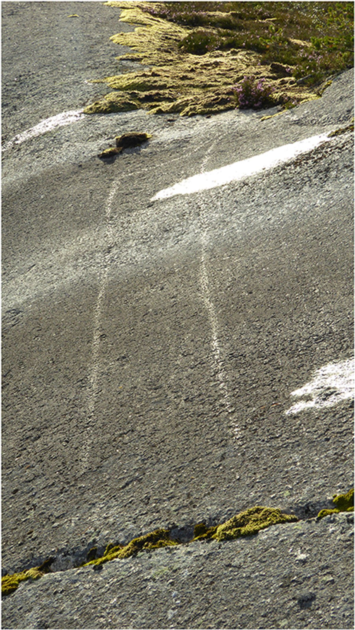 An Early Mesolithic boat image carved into rock in Valle, Norway around 10,000 to 11,000 years ago Jan Magne Gjerde