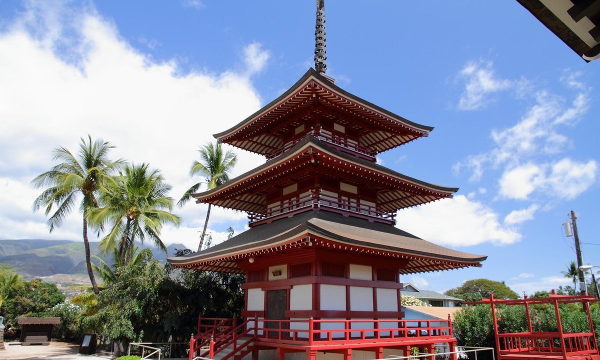 Conservation experts deploying to Lahaina, Hawaii, to support recovery from 2023 wildfires