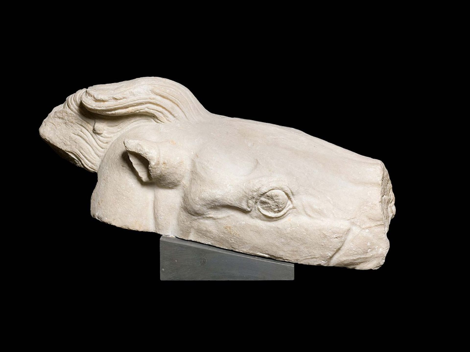 One of the three sculptural Parthenon sculpture fragments in the collection of the Vatican Museums, which depicts part of the head of the horse pulling Athena's chariot Vatican Museums