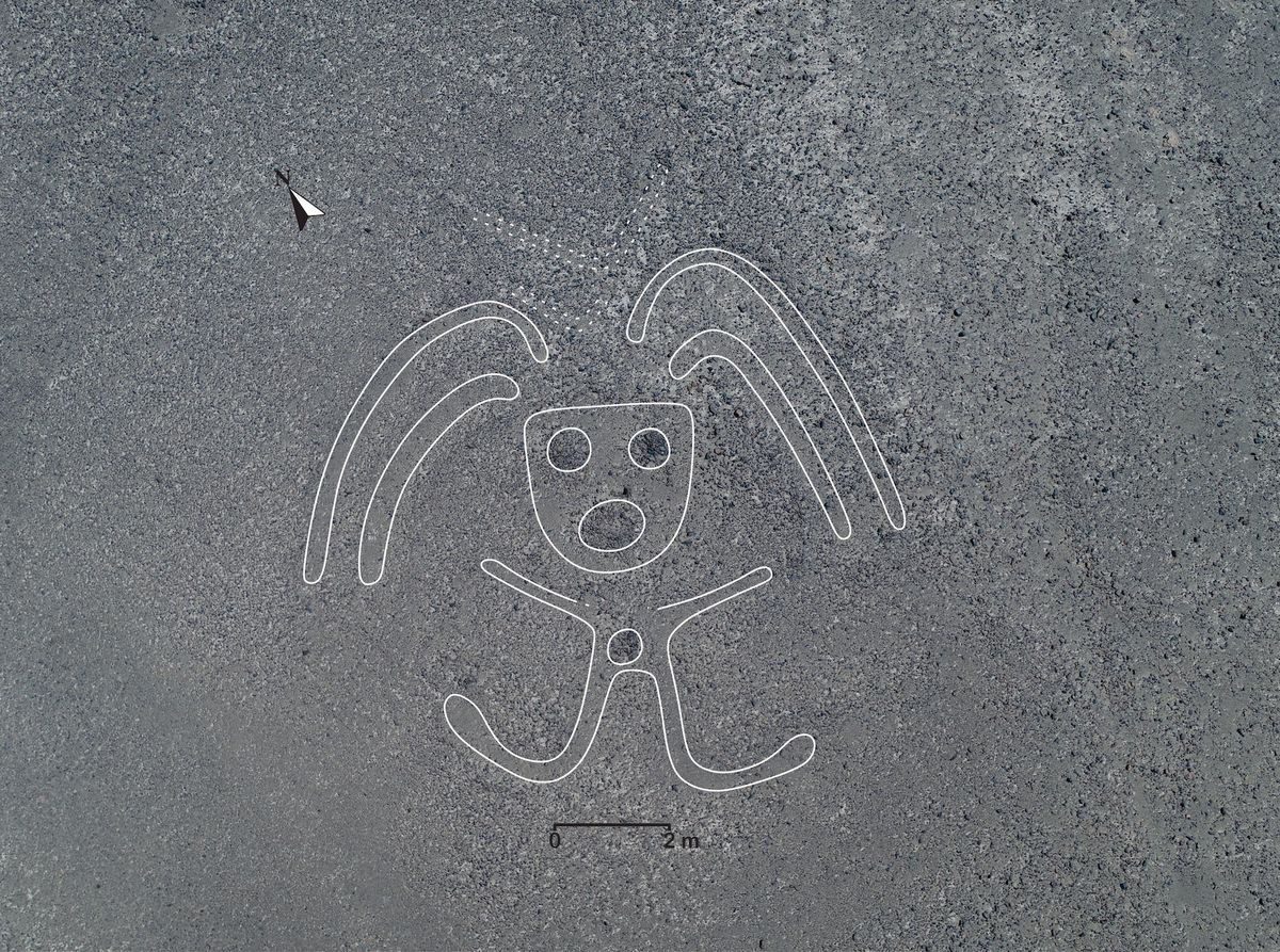 A geoglyph of a human figure found in Peru Yamagata University