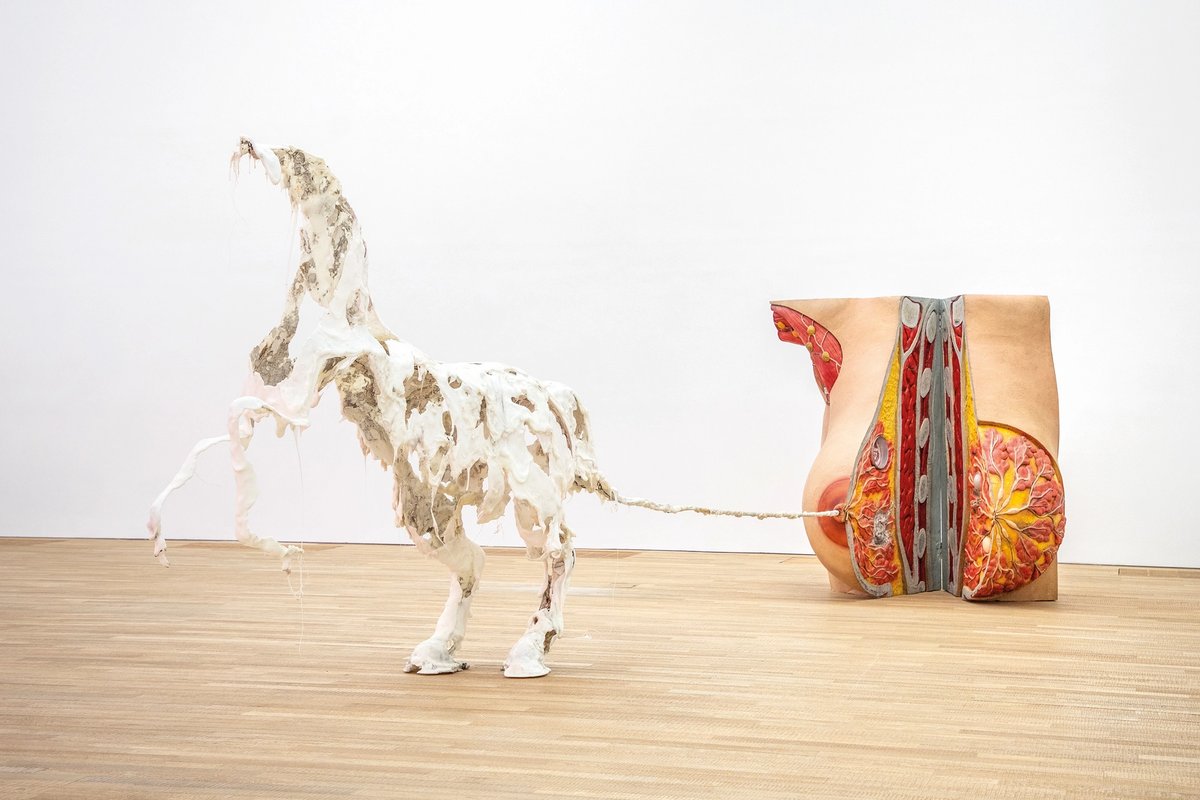 An installation view of Raphaela Vogel's Uterusland (Partial, 2017) at Tai Kwun Courtesy: BQ, Berlin & Raphaela Vogel