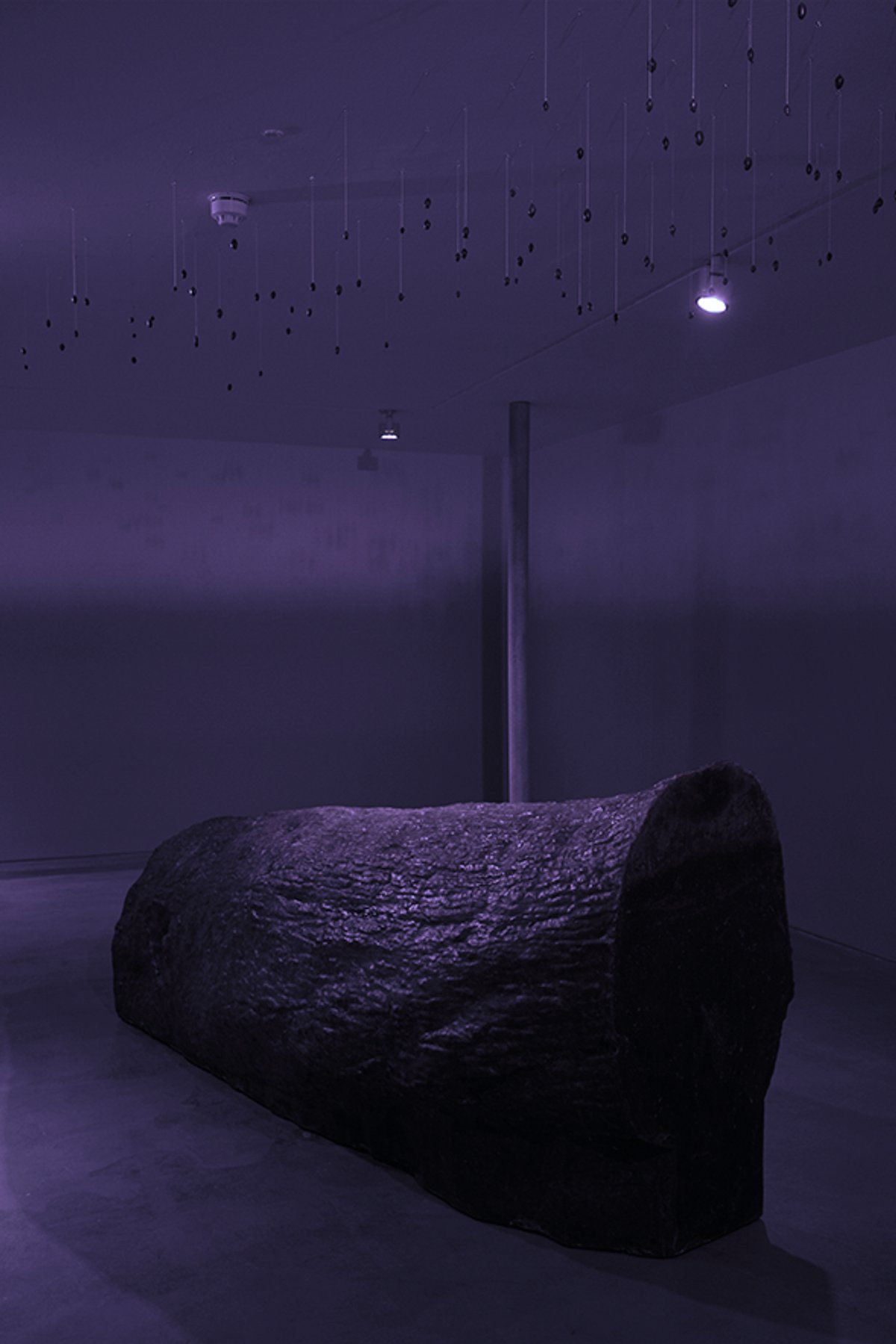 Installation view of Trevor Yeung's Soft Ground at Gasworks, London