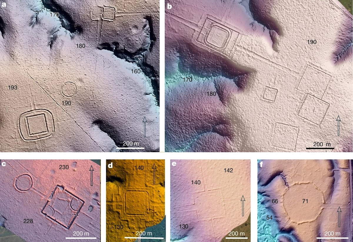 Monumental earthworks under the rainforest canopy in Amazonia revealed in recent Light Detection and Ranging analysis Pärssinen, M., Kalliola, R., Ranzi, A. et al. Over 20,000 precolonial earthworks in the Southwest Amazonia, Nature, 2026. CC BY 4.0