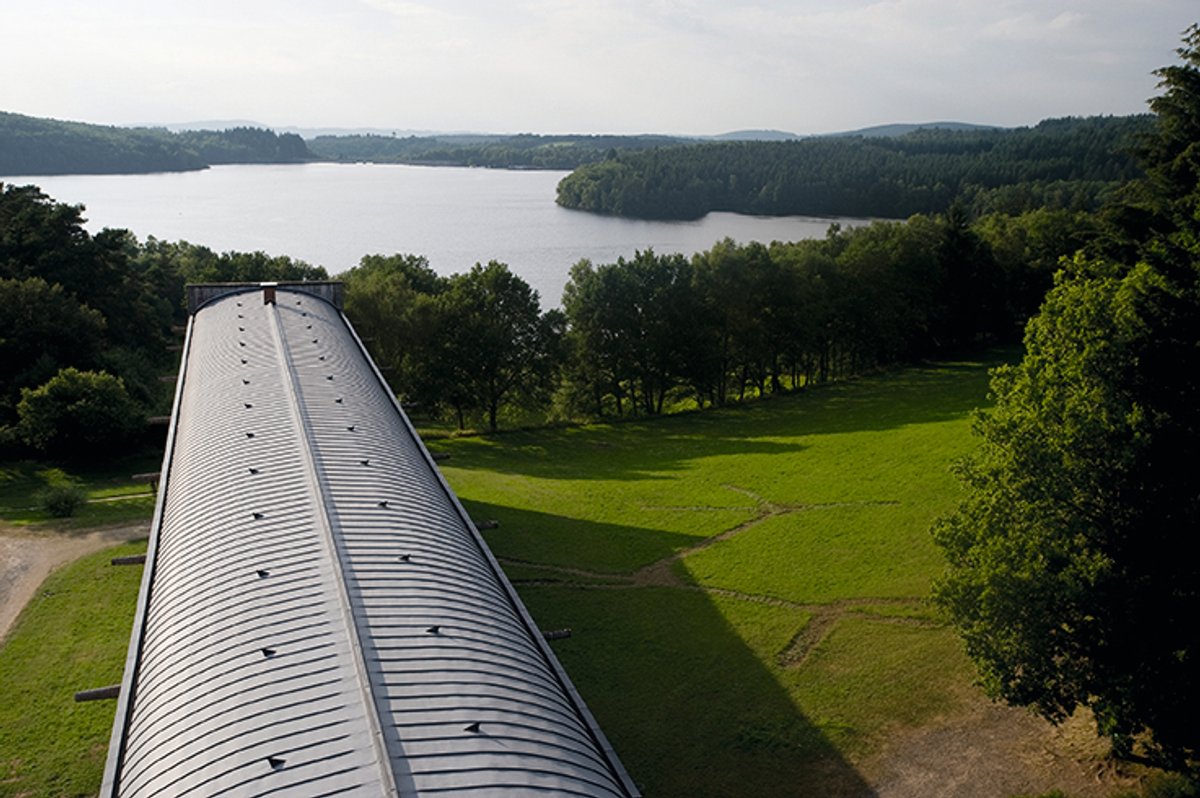 CIAPV’s initiatives include creating a self-managing forest that does not need human intervention CIAPV; © ADAGP, Paris; 2025