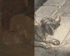 Dog in Rembrandt’s The Night Watch was copied from widely available book, suggests new research