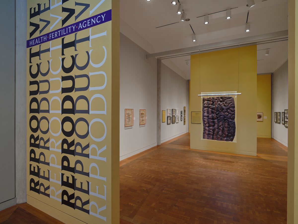 Installation view of Reproductive: Health, Fertility, Agency at Vassar College’s Frances Lehman Loeb Art Center, including Betsey’s Flag (2019) by KING COBRA (Doreen Garner) at right Photo by Thomas Barratt Photography