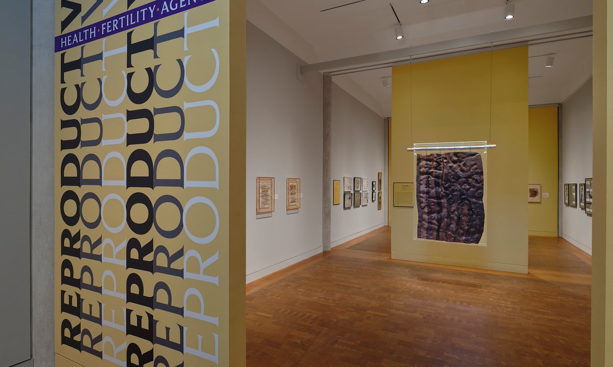 An exhibition on reproductive health raises urgent questions—and the spectre of self-censorship An exhibition on reproductive health raises urgent questions—and the spectre of self-censorship