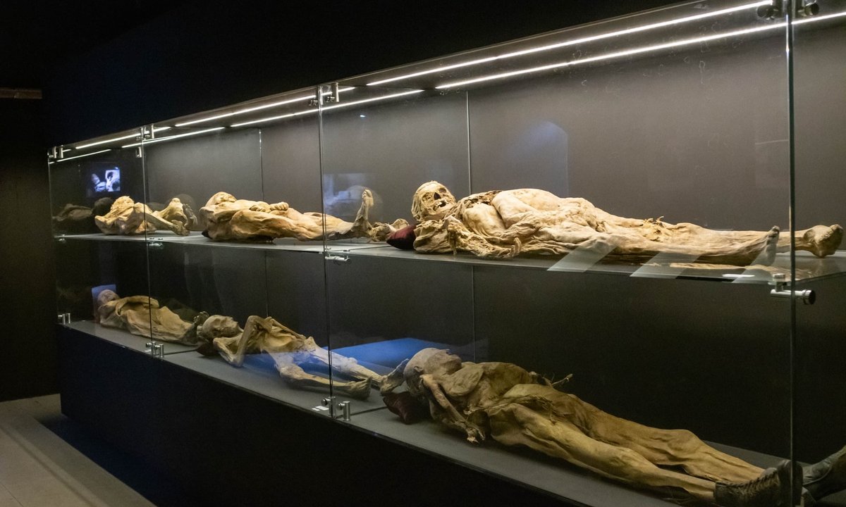 Mexican archaeological bureau denounces damage at Guanajuato’s mummies museum Mexican archaeological bureau denounces damage at Guanajuato’s mummies museum