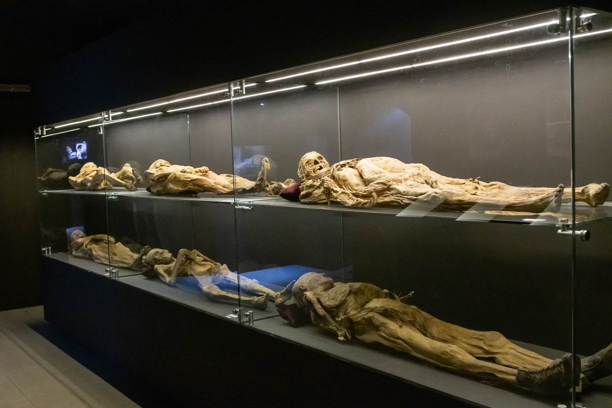 The Museo de las Momias in Guanajuato, Mexico Photo: Courtesy the Government of the City of Guanajuato
