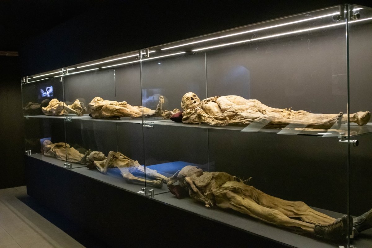 The Museo de las Momias in Guanajuato, Mexico Photo: Courtesy the Government of the City of Guanajuato