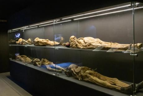  Up in arms: Mexican archaeological bureau denounces damage to at least one mummy in Guanajuato’s famous museum 
