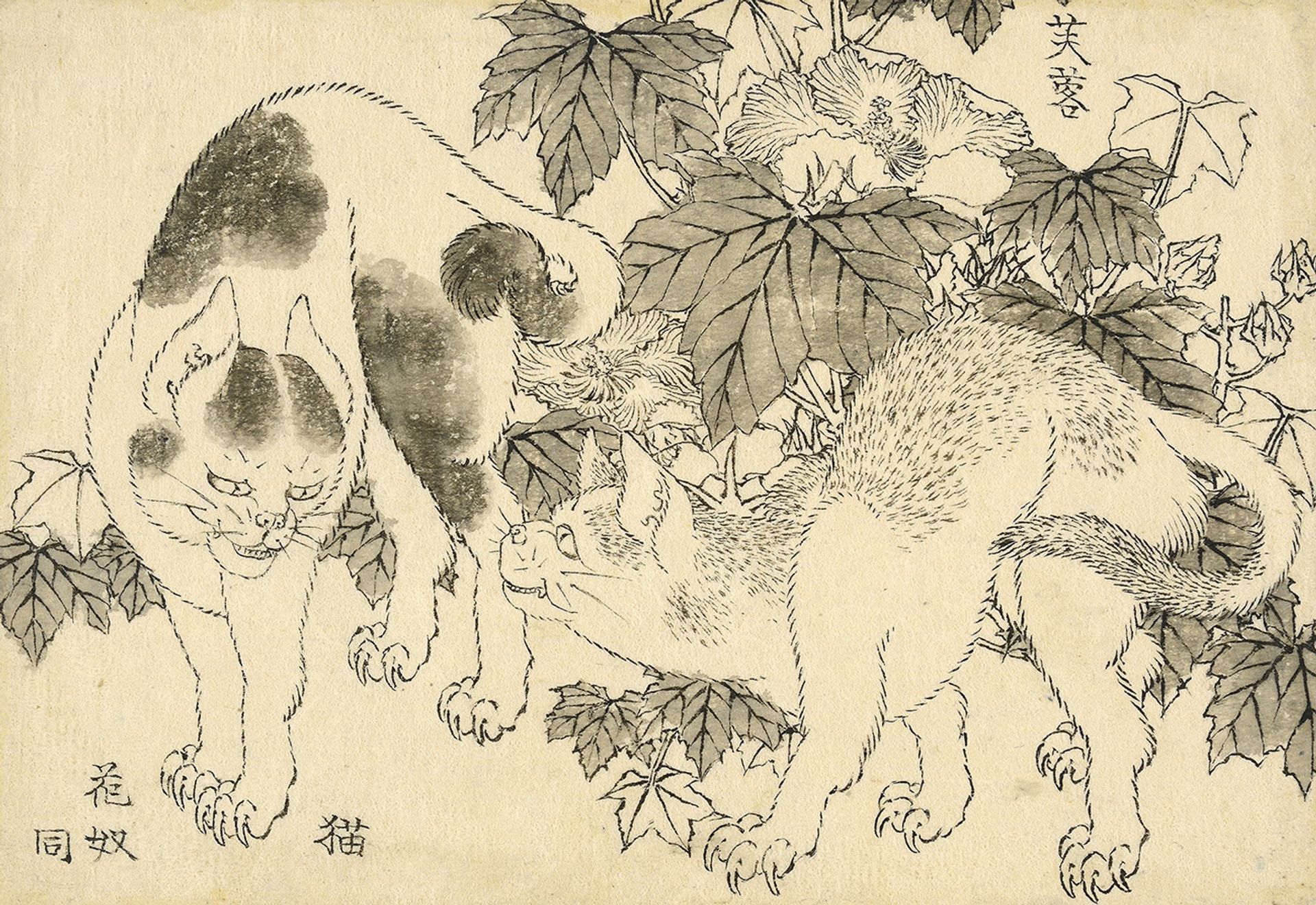 Katsushika Hokusai (1829), Cats and hibiscus: a standoff between two cats, with hibiscus ( fuyō ) behind © The Trustees of the British Museum
