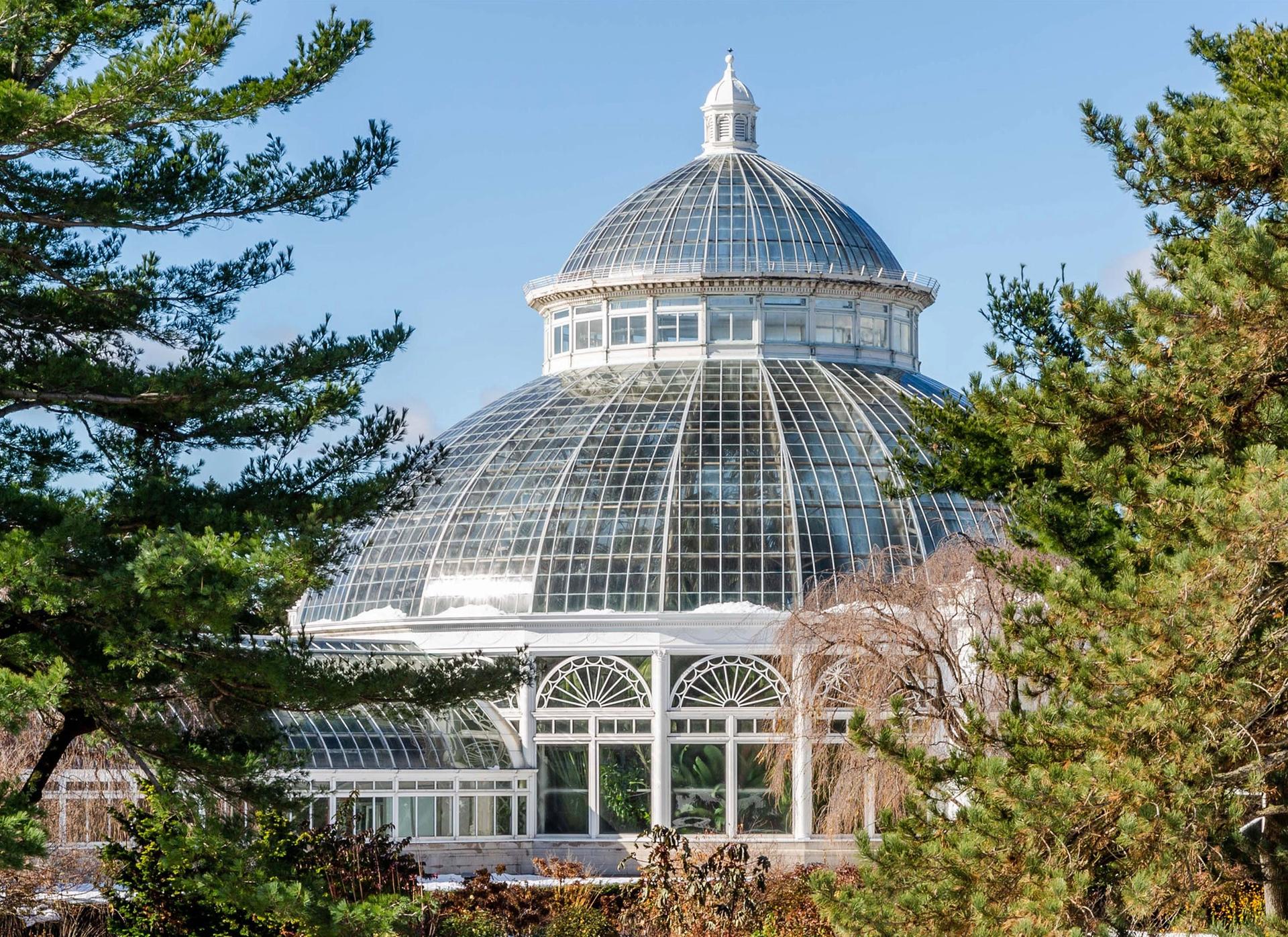 The palm dome of the New York Botanical Garden NYBG Photo