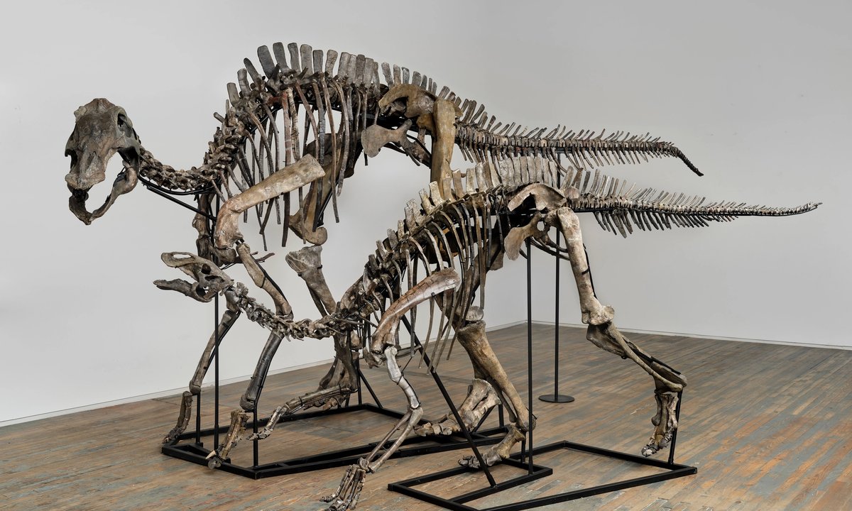 Dinosaurs roam New York’s Bowery – The Art Newspaper Dinosaurs roam New York’s Bowery – The Art Newspaper