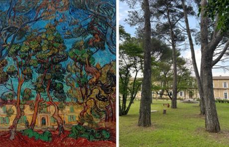  An exclusive visit to Van Gogh‘s asylum garden to track down the scenes that he painted 