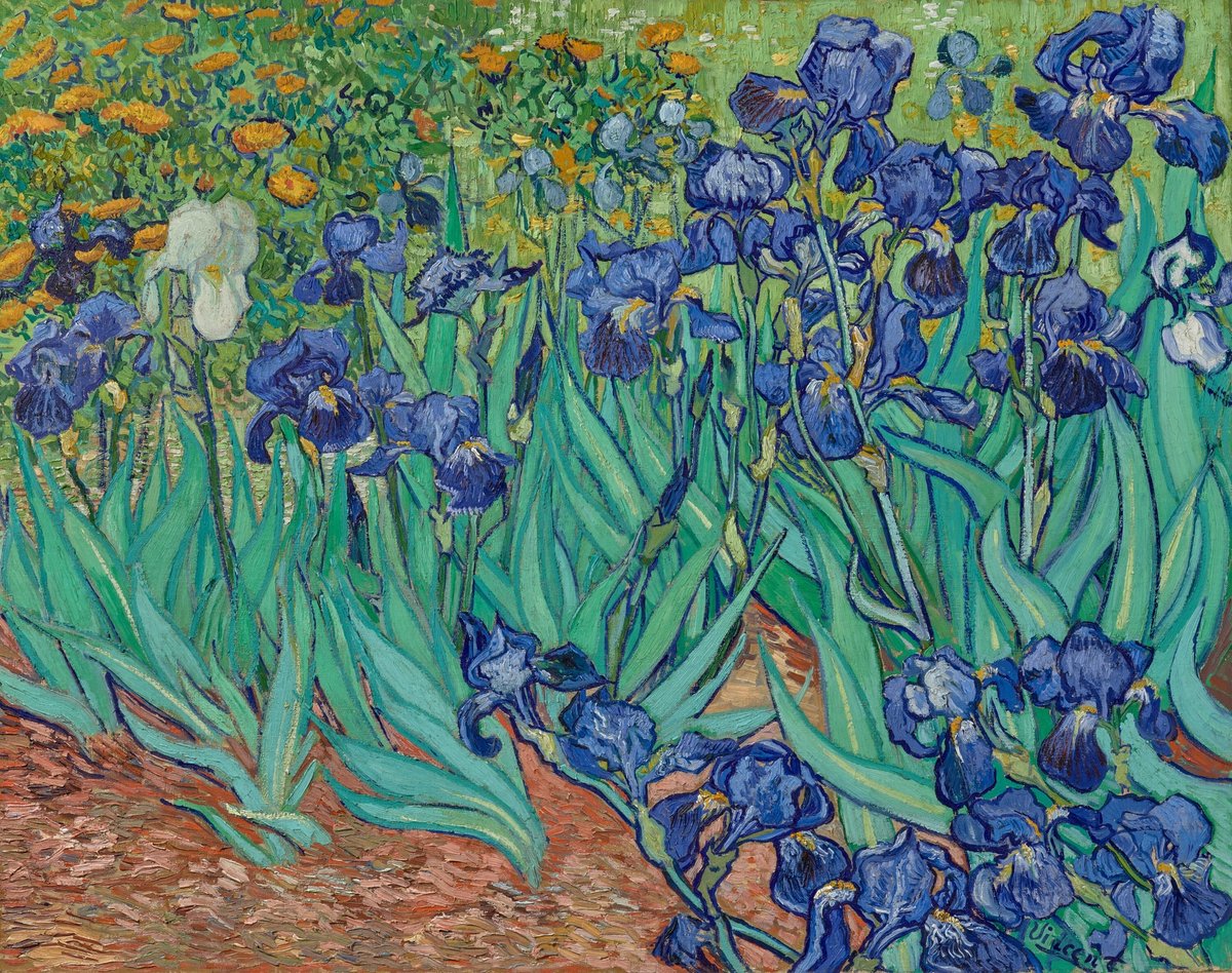 Van Gogh’s Irises (May 1889)
J. Paul Getty Museum, Los Angeles