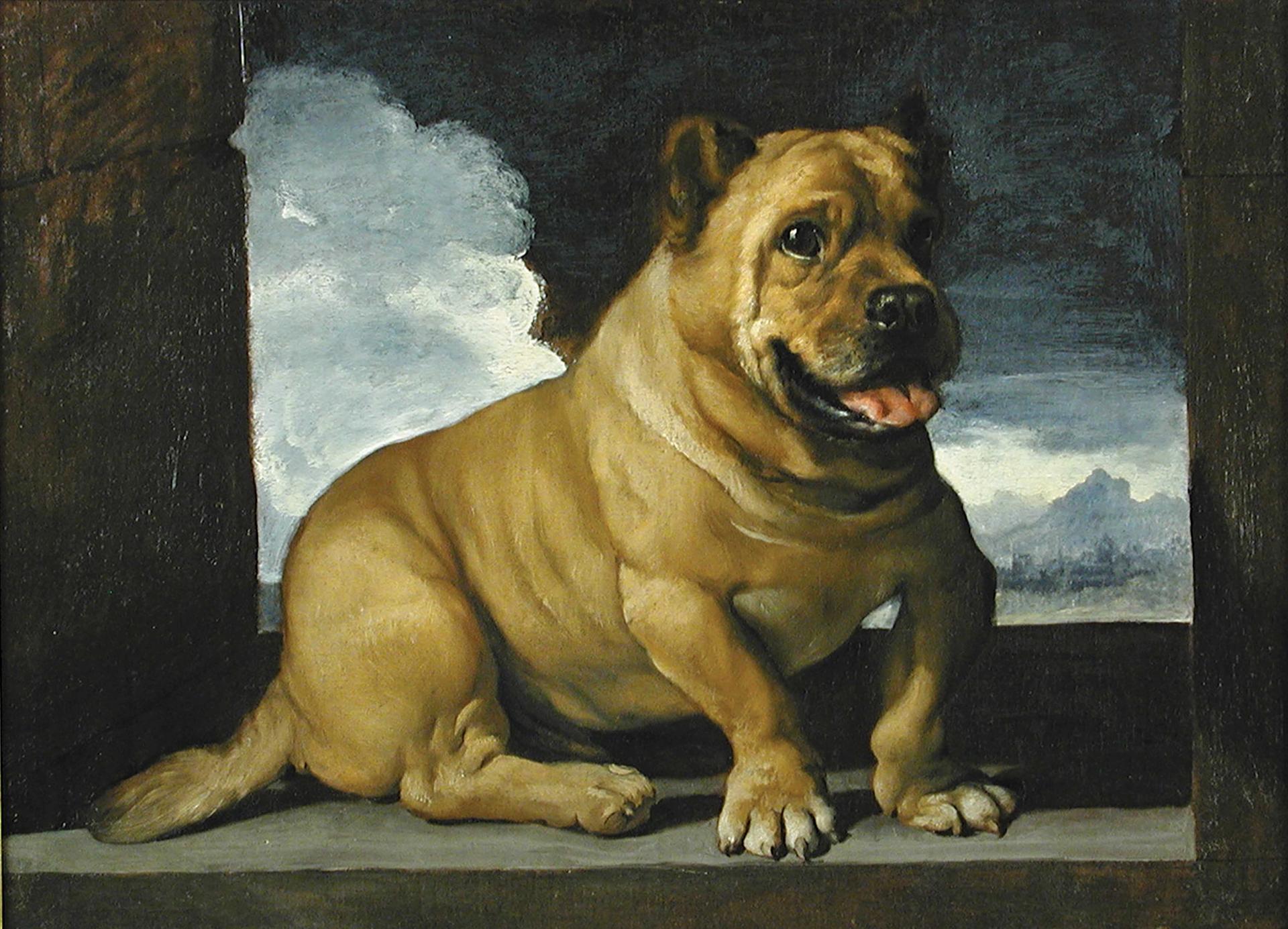 Italian mastiff (around 1625-30), attributed to Il Guercino Cheffins
