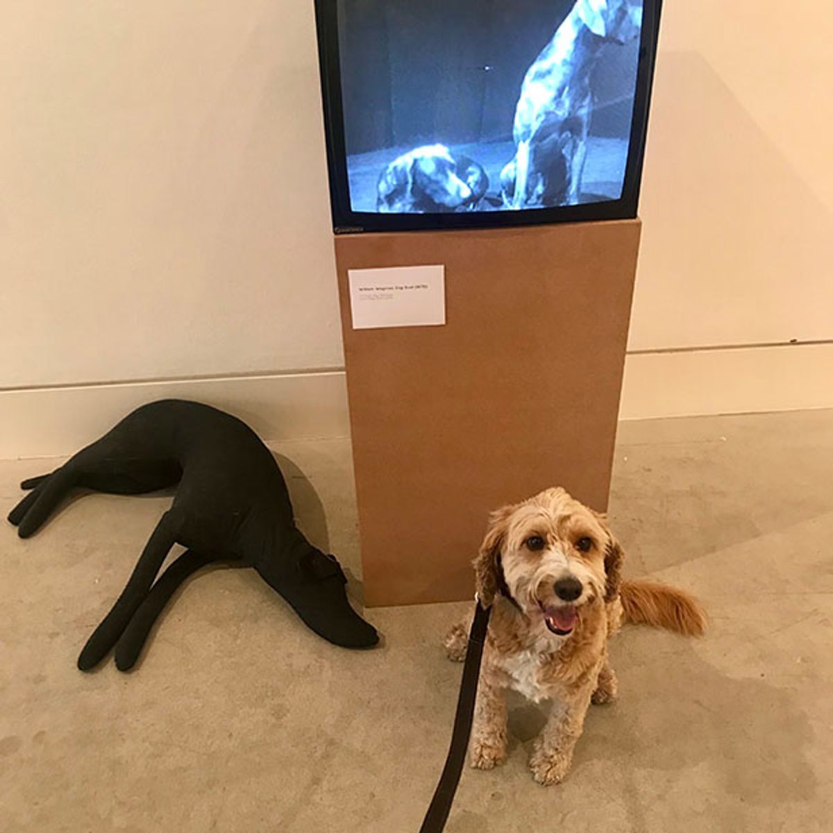 Courtesy Louisa Buck