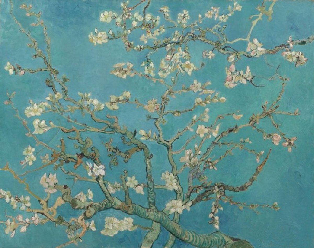 Van Gogh’s Almond Blossom (February 1890)
Courtesy Van Gogh Museum, Amsterdam (Vincent van Gogh Foundation)