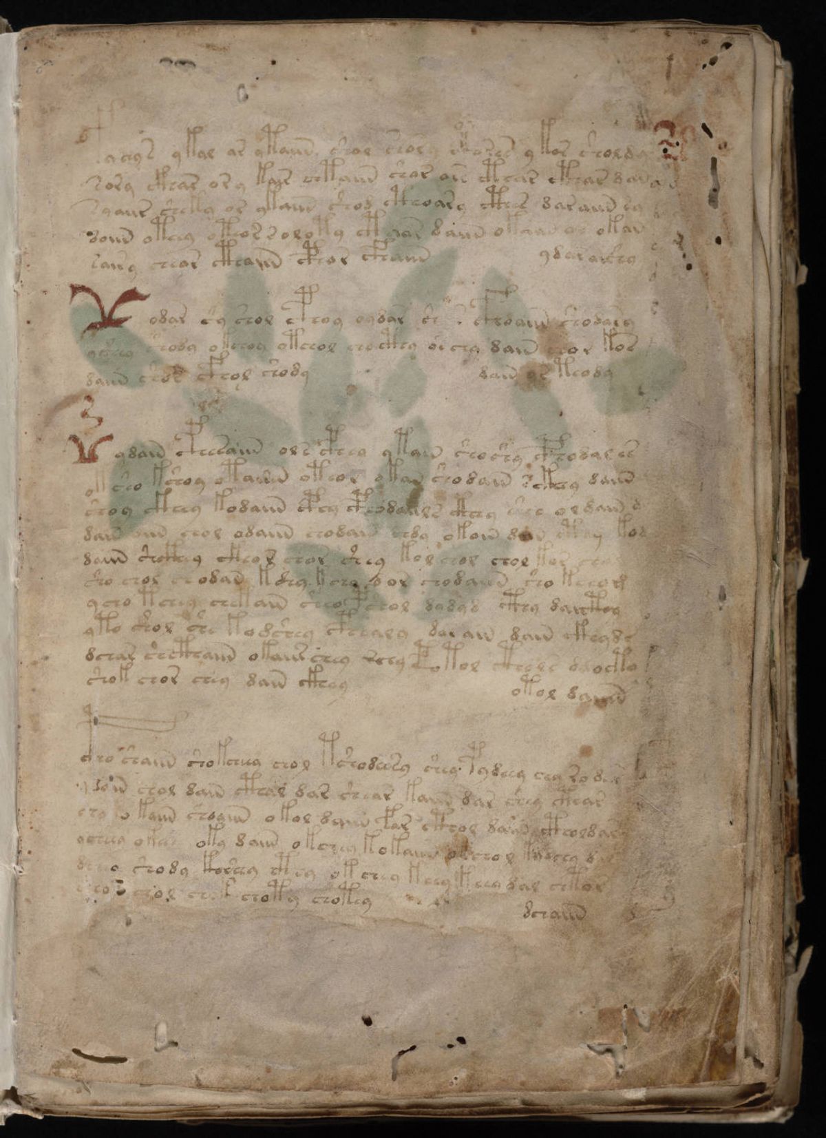 The first page of the Voynich Manuscript were scanned