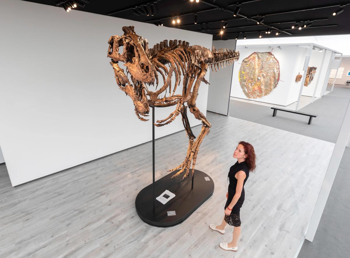A dinosaur skeleton is “something all humans can relate to” says Salomon Aaron, who is selling the piece Photo: David Owens