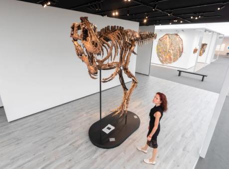  Baby T rex at Frieze Masters seeks new home—for £20m 
 