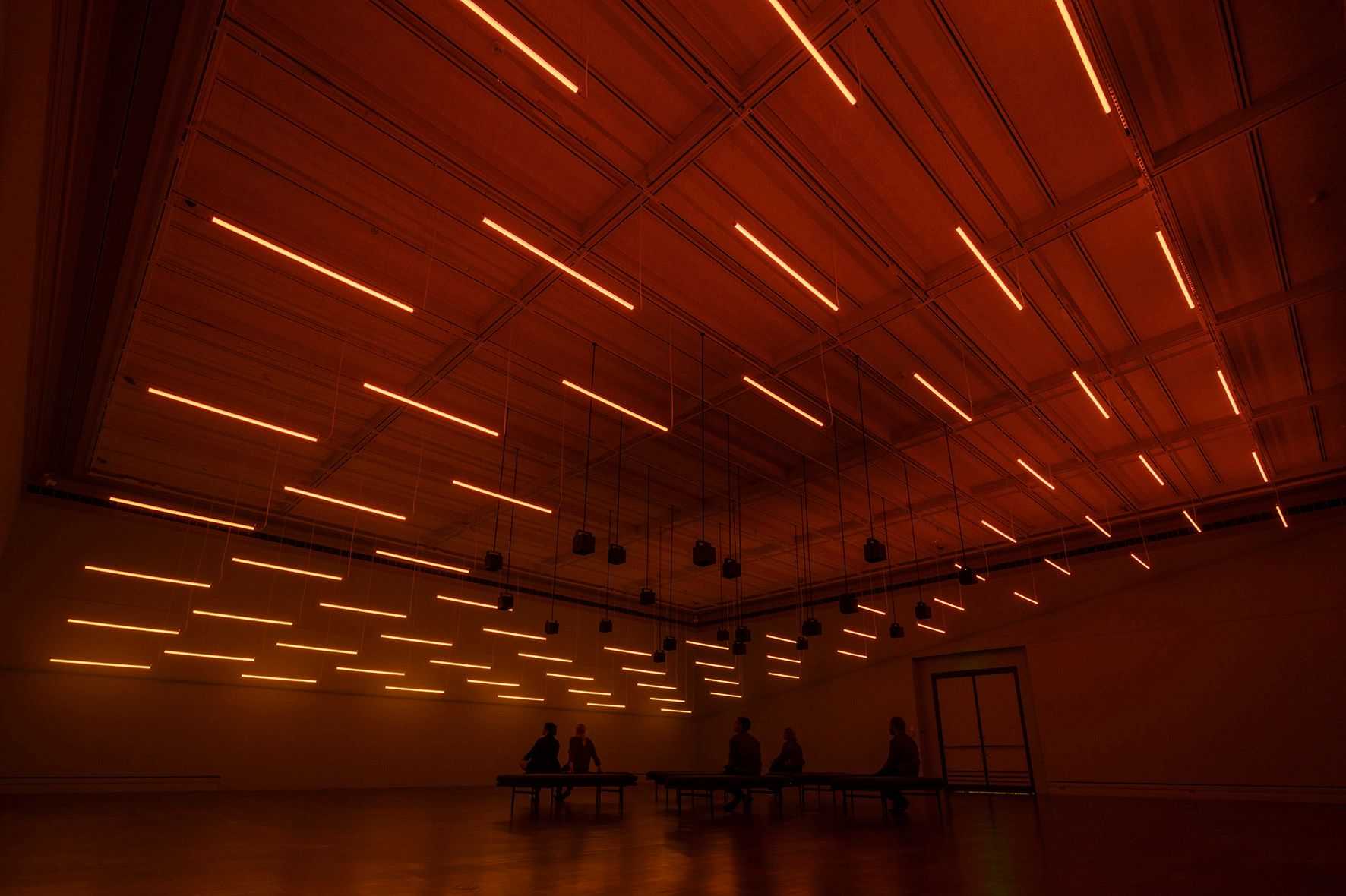 Alexandra Daisy Ginsberg’s sound and light installation Machine Auguries: Toledo (2023) explores the precipitous decline in bird populations © The artist