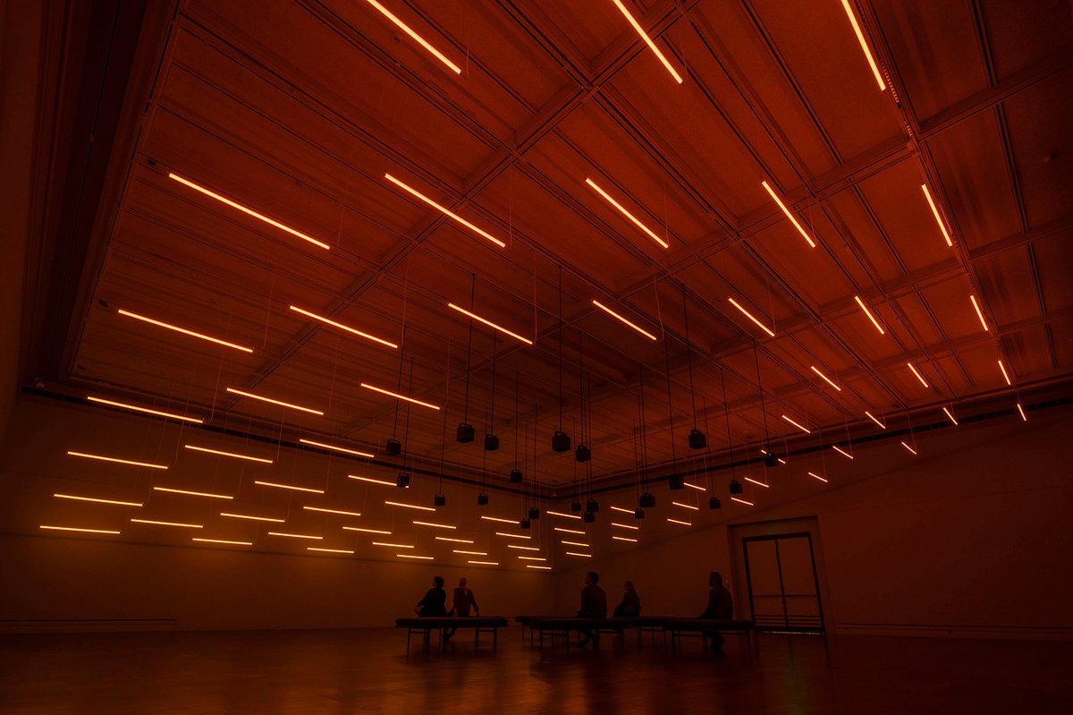 Alexandra Daisy Ginsberg’s sound and light installation Machine Auguries: Toledo (2023) explores the precipitous decline in bird populations © The artist