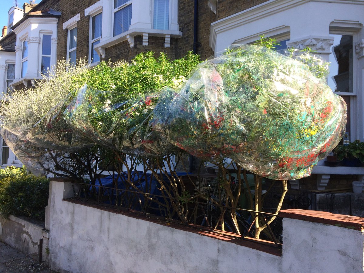 Art Licks / Holly Willats