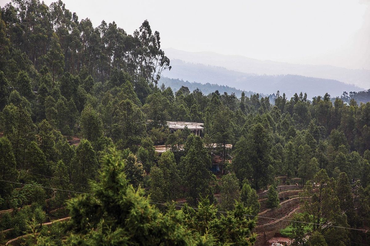 Green dream: Zoma Village Entoto is an urban oasis of art and nature above Addis Ababa
Alice Hendy