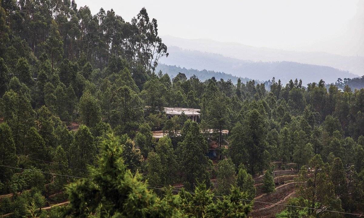 How an artist and curator duo are transforming Addis Ababa with their eco-driven projects How an artist and curator duo are transforming Addis Ababa with their eco-driven projects
