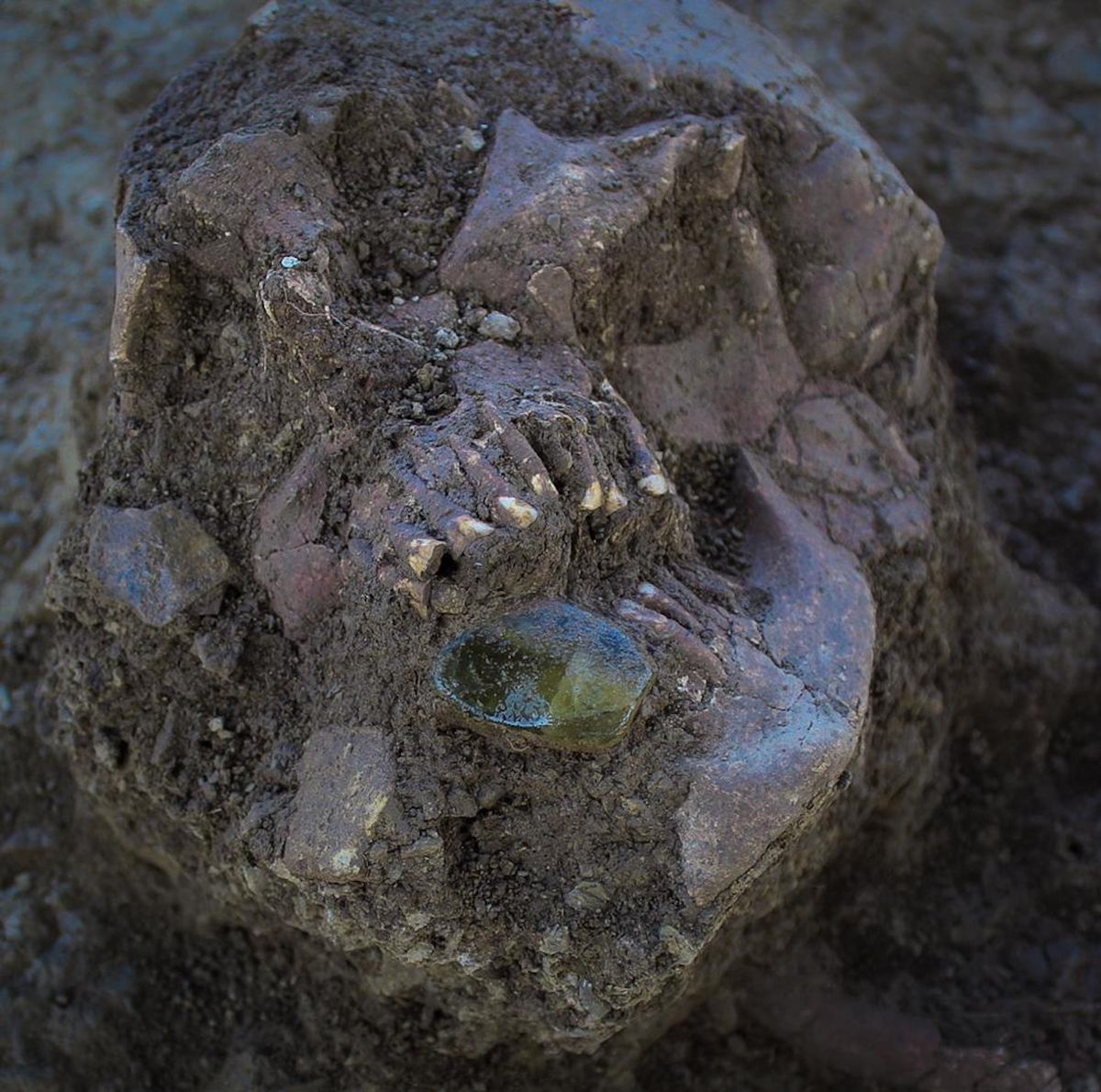 A carved green quartz earring found inside a mound at the El Naranjo site Courtesy National Institute of Anthropology and History
