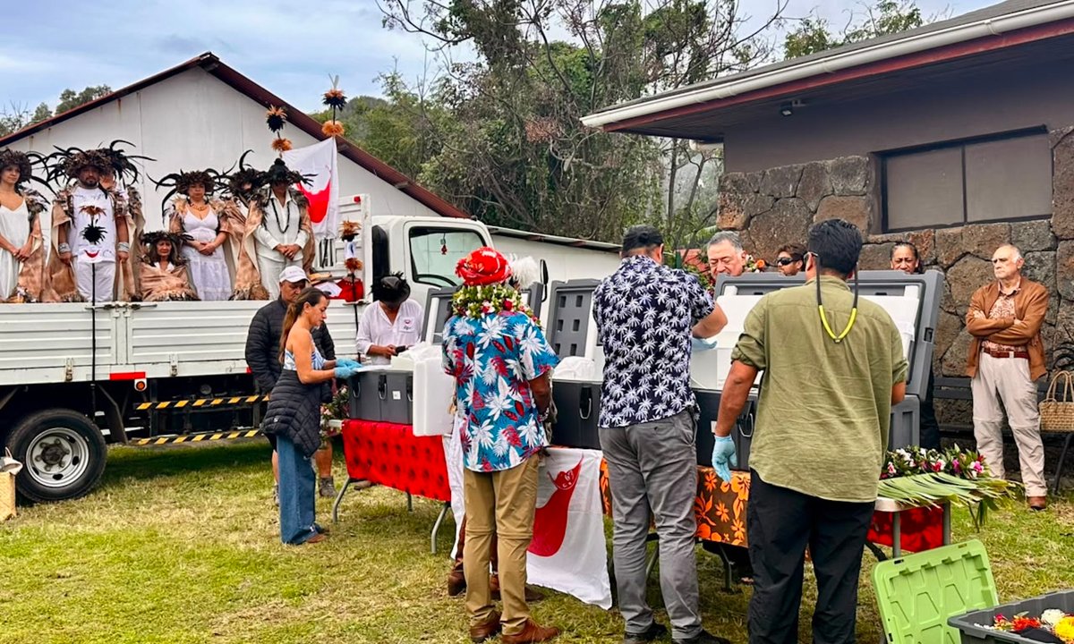 The Australian Museum returns remains of Rapa Nui ancestors to Easter Island – The Art Newspaper The Australian Museum returns remains of Rapa Nui ancestors to Easter Island – The Art Newspaper