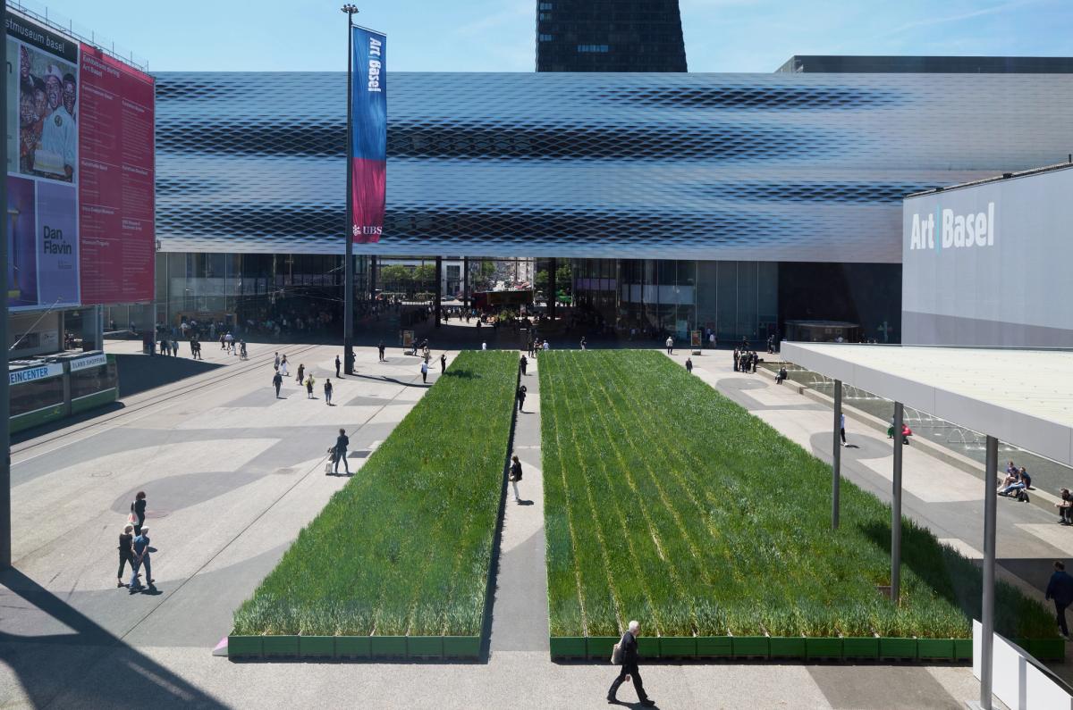 Agnes Denes's Honoring Wheatfield - A Confrontation, the Messeplatz commission in 2024

Courtesy of Art Basel