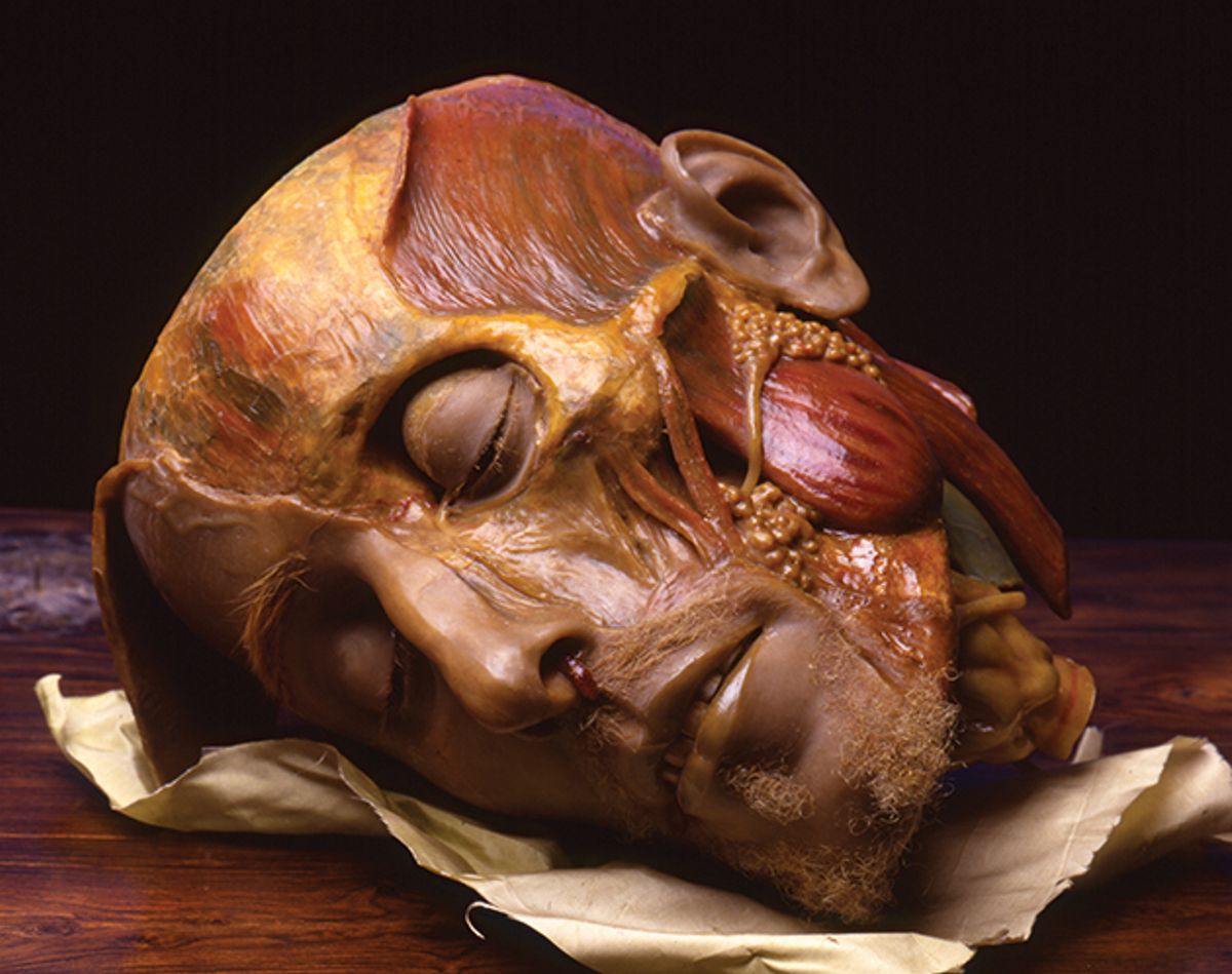 Face off: an anatomical head modelled in wax by Gaetano Giulio Zumbo  Saulo Bambi; Sistema Museale Università di Firenze